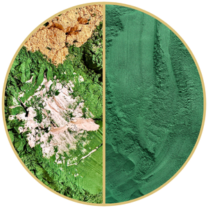 Grüne Algenpigmente – The Fountain of Youth Mask by Mario Goldinger